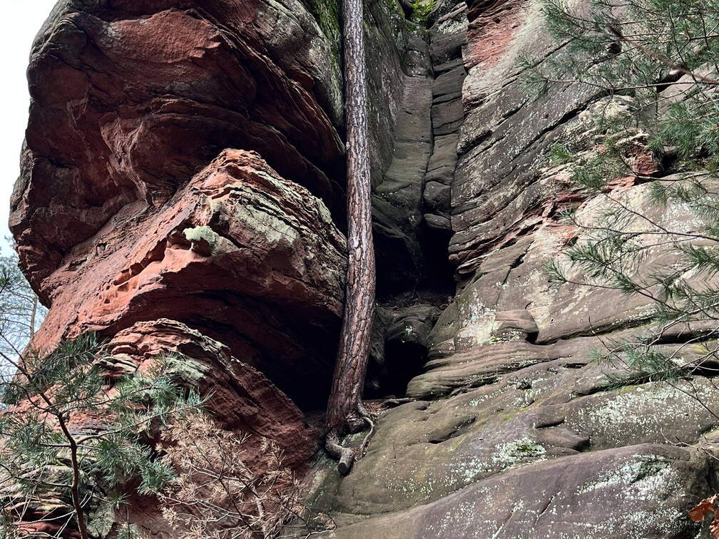 24-02-27 14-05-29 8751